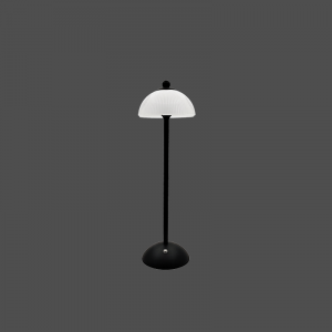 Enton LED Portable Table Light #ETI0250 gallery view 2 for wholesale LED lighting projects